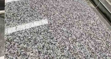 湘潭 芙蓉白光面