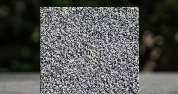 湘潭 芝麻黑荔枝面