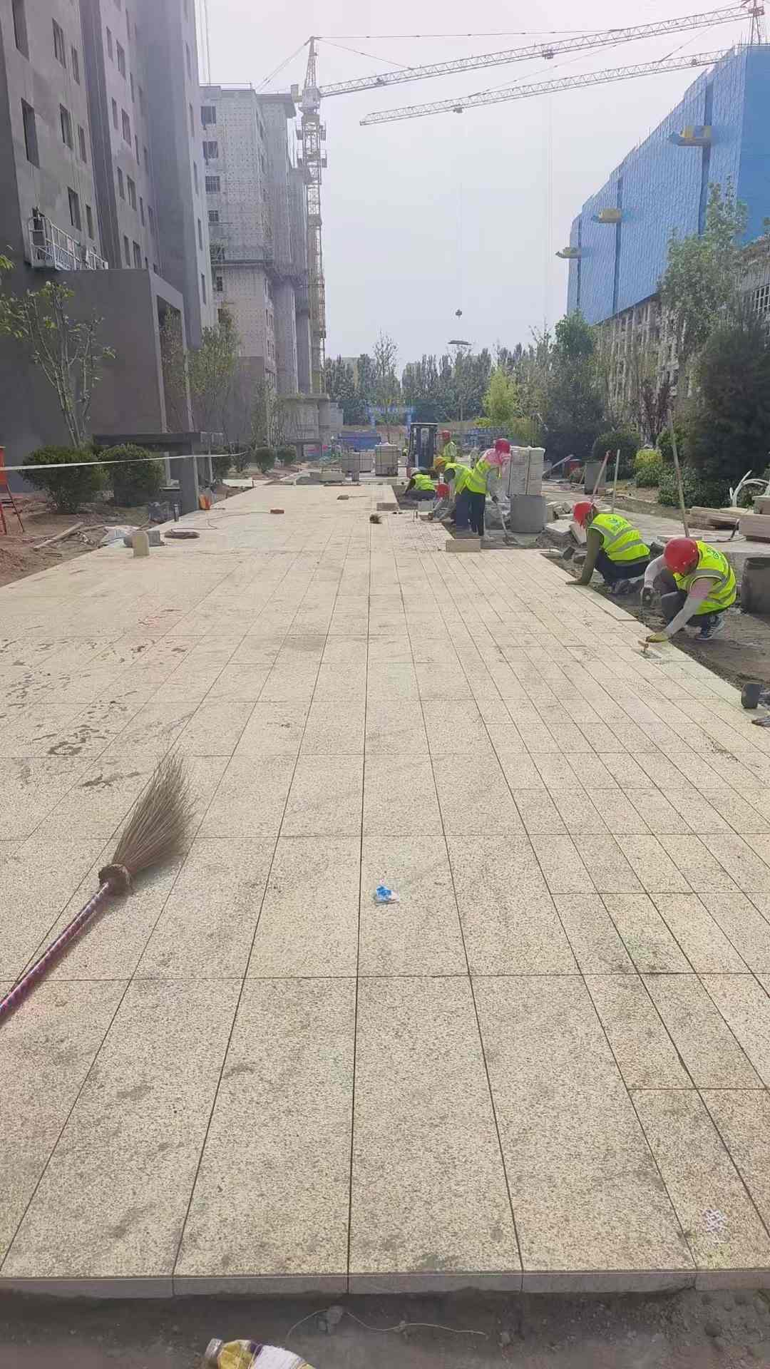 湘潭黄金麻荔枝面地铺案例