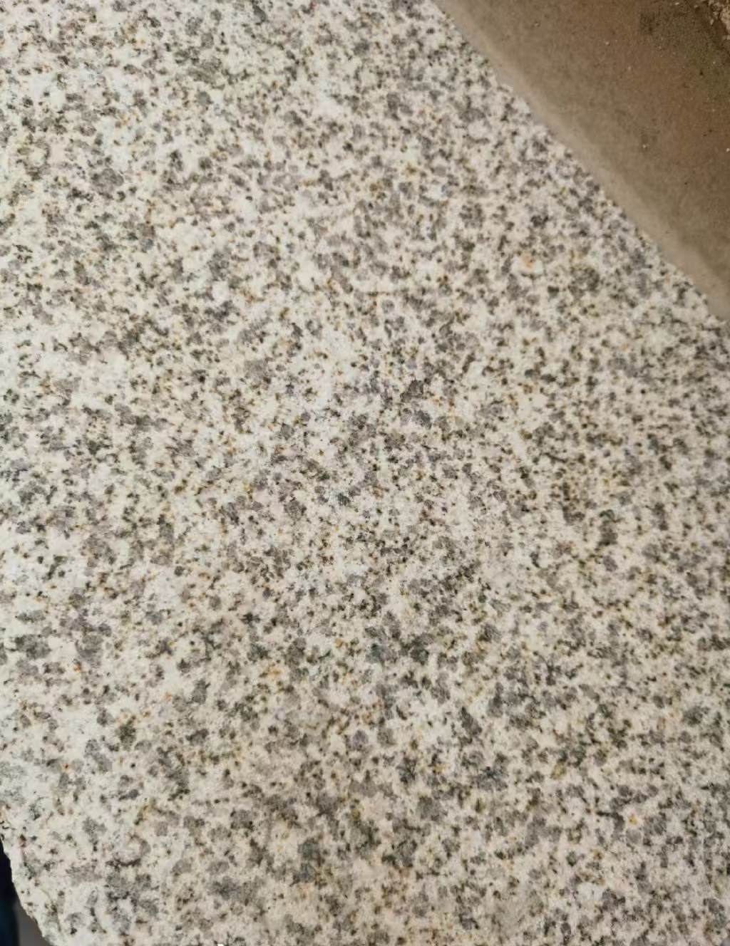 湘潭 黄金麻中黄光面